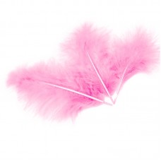 Перья, Нежно-розовые, (10Х15 см)