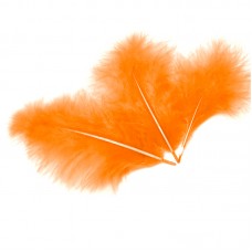 Spalvas, Oranžs, (10Х15 cm)