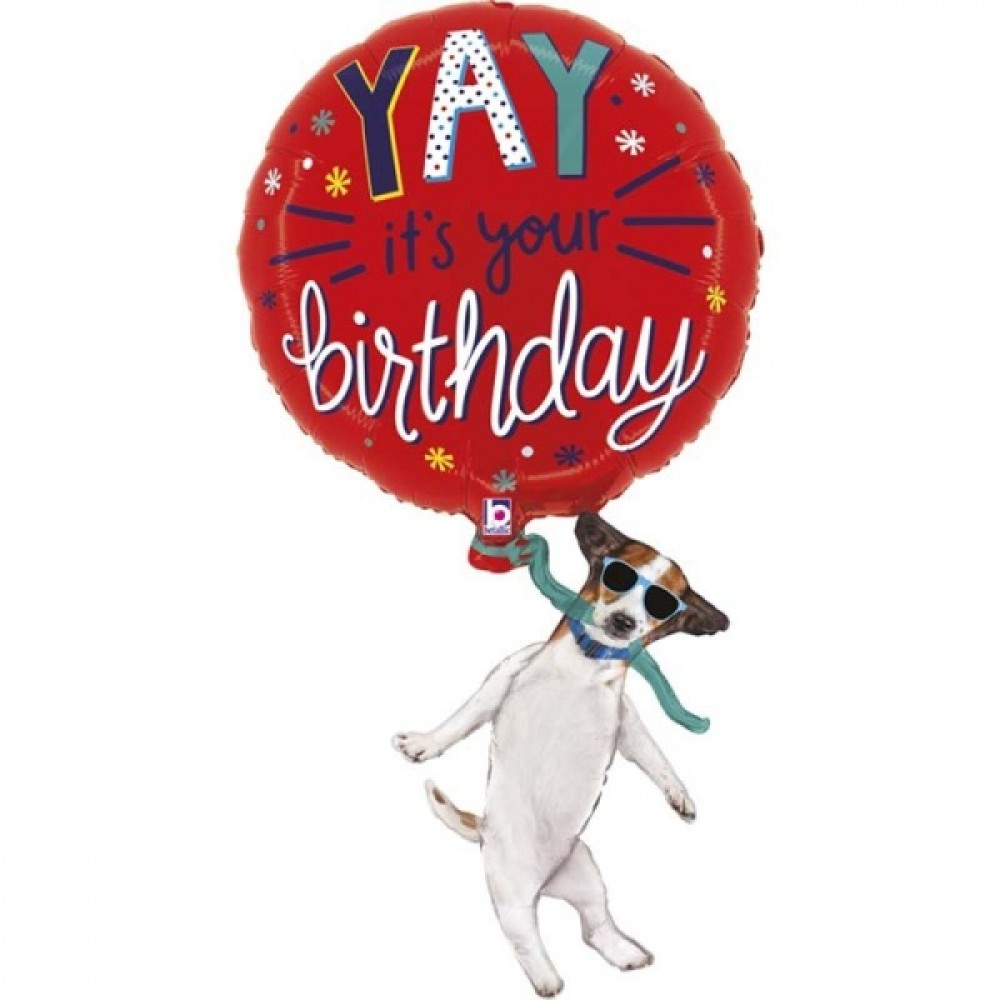 Suns ar balonu, (97 cm)