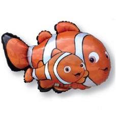 Zivis, Nemo, (91 cm)