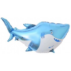 Haizivs, (97 cm)