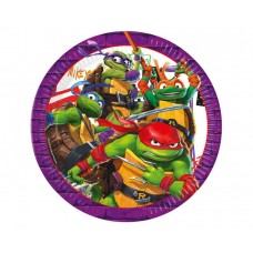 Šķīviši, Bruņurupuči nindzjas, 8 gb, (23 cm)