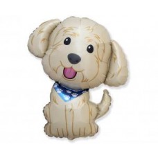 Suns Kobberdogs, (73 cm)