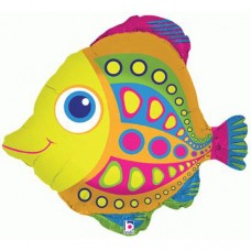 Zivis, Varavīksne, (69 cm)