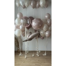 Композиция 737